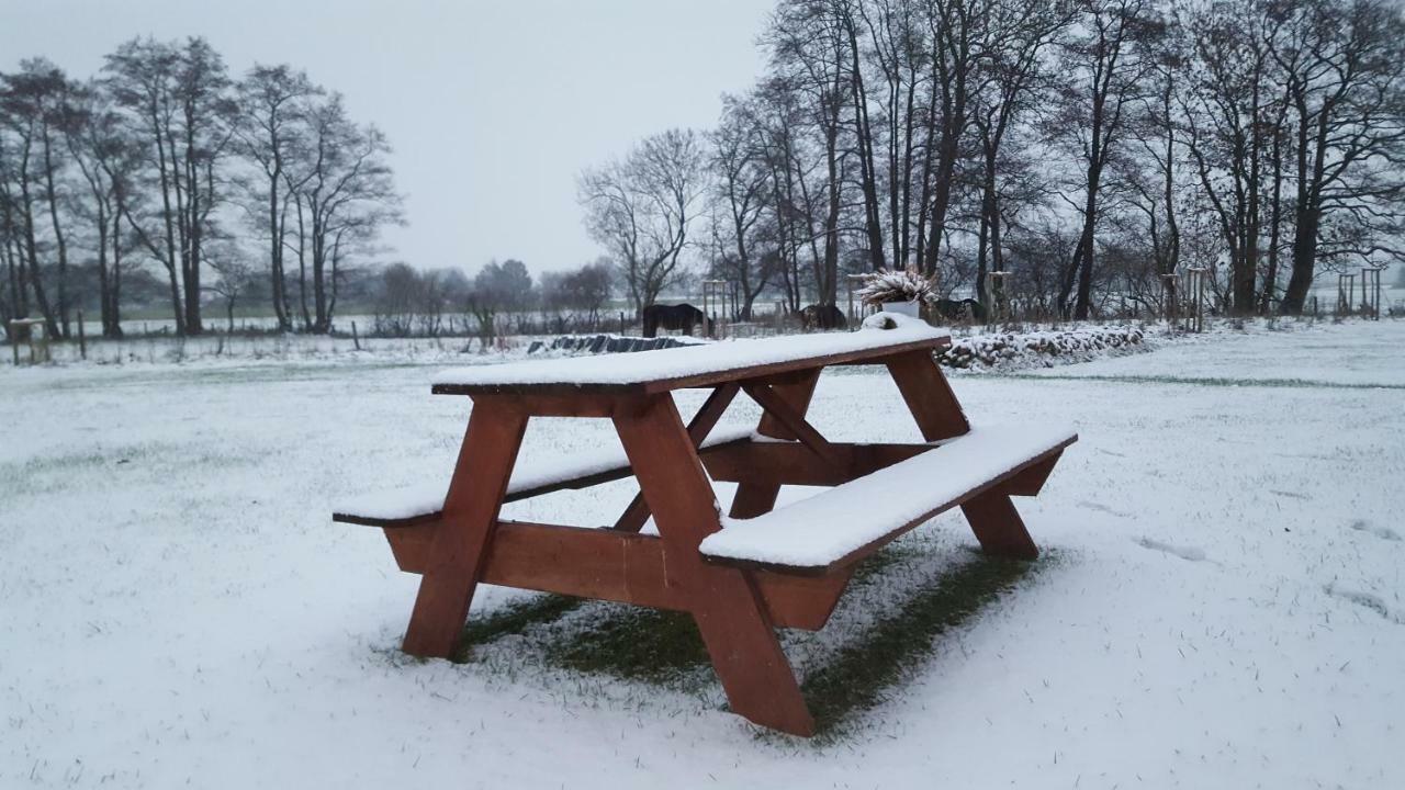 Emsdune Oberlangen Exterior foto